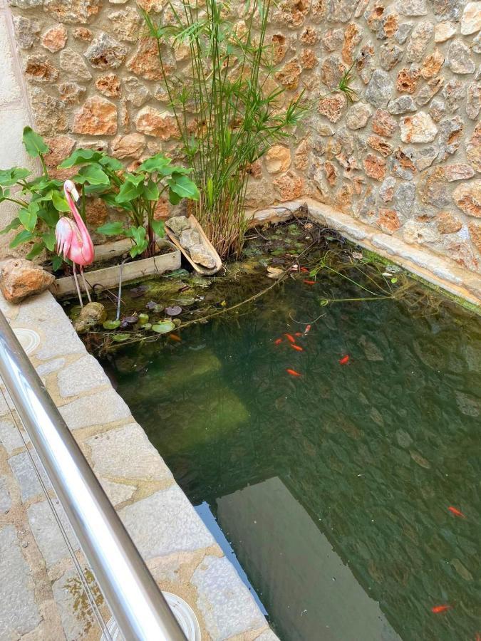 Holiday home Ideal Mallorca - Cal Tio *